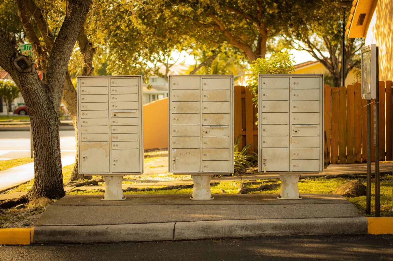A row of cluster mailboxes on a sidewalk under oak trees in late light