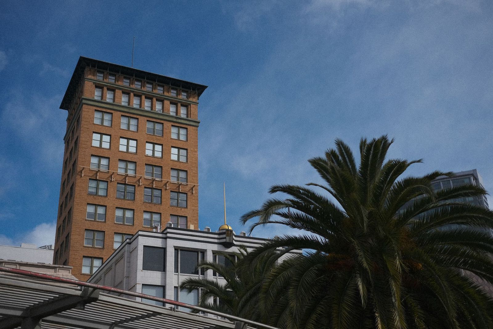 A brick office tower rising behind a palm tree under a blue sky