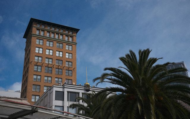 A brick office tower rising behind a palm tree under a blue sky