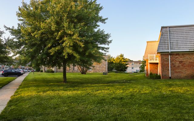 Brick garden apartment buildings around a lawn shaded by a large tree