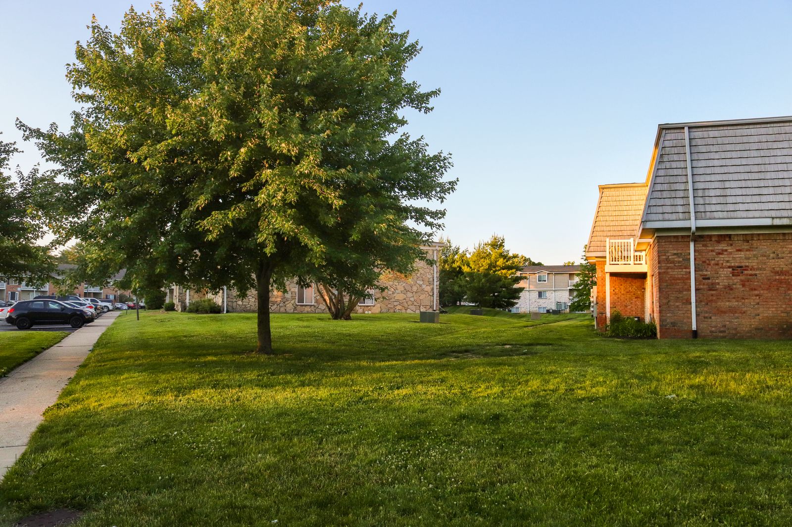 Brick garden apartment buildings around a lawn shaded by a large tree