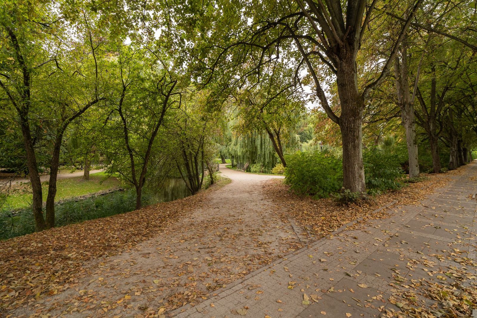 A leaf-strewn park path curving beside a creek under shade trees